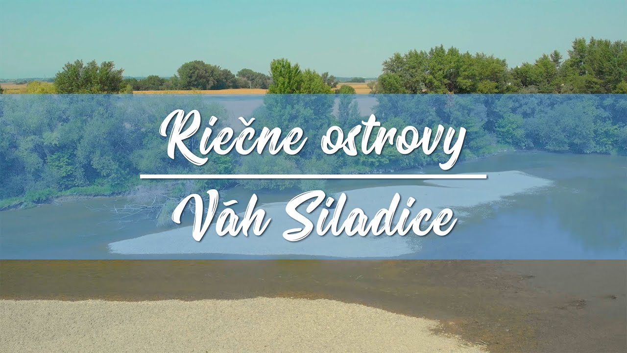 Riečne ostrovy ~~~ Váh - Siladice