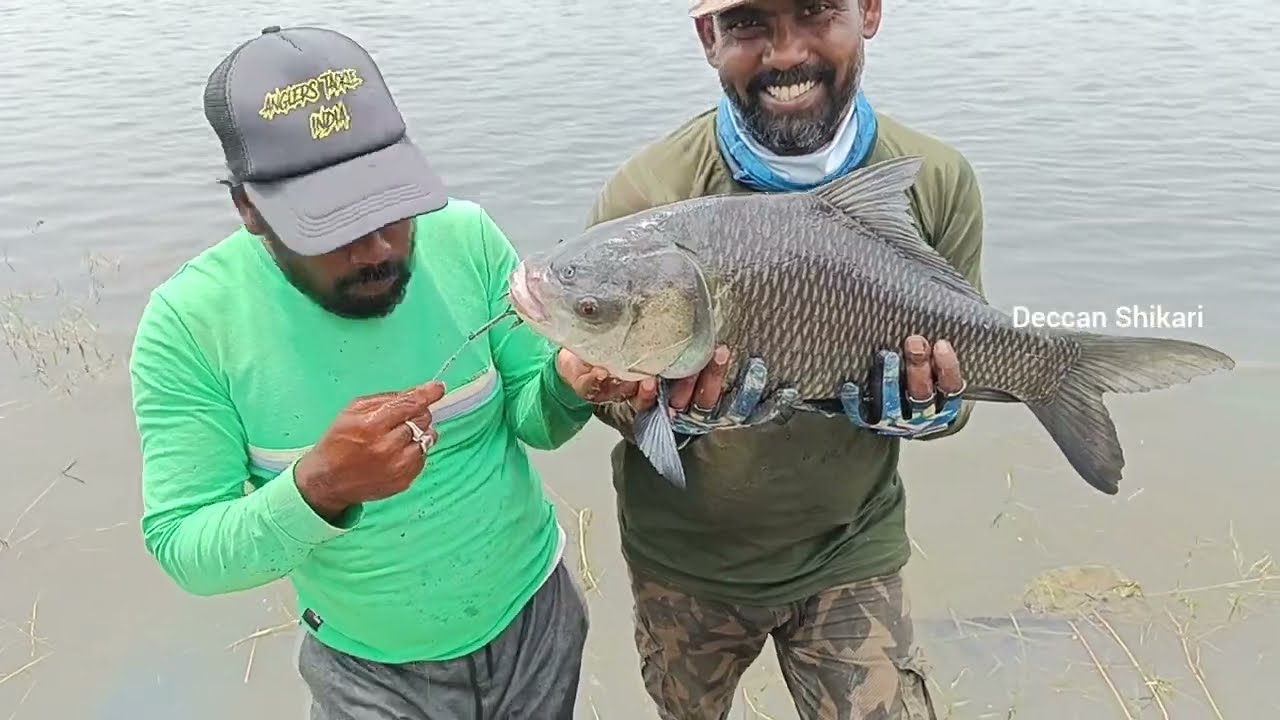 Fish Hunting | Catla Fishing in River  | Hook Fishing | Fish Hunting Tricks