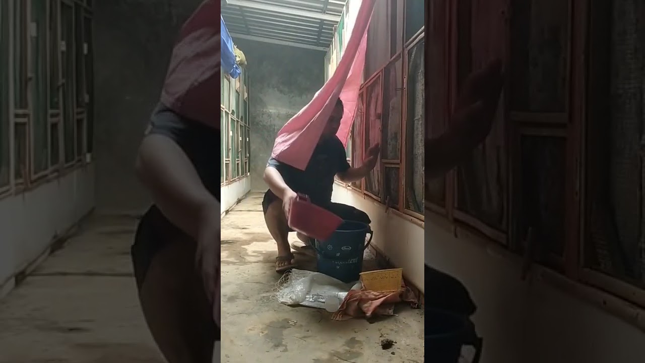 Belajar ternak burung murai batu 