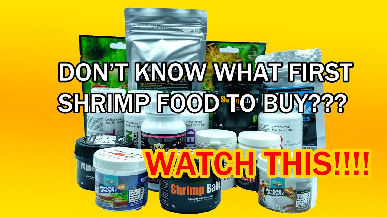 BEST AND CHEAPEST SHRIMP FOOD FOR START -  for cherry shrimp and other