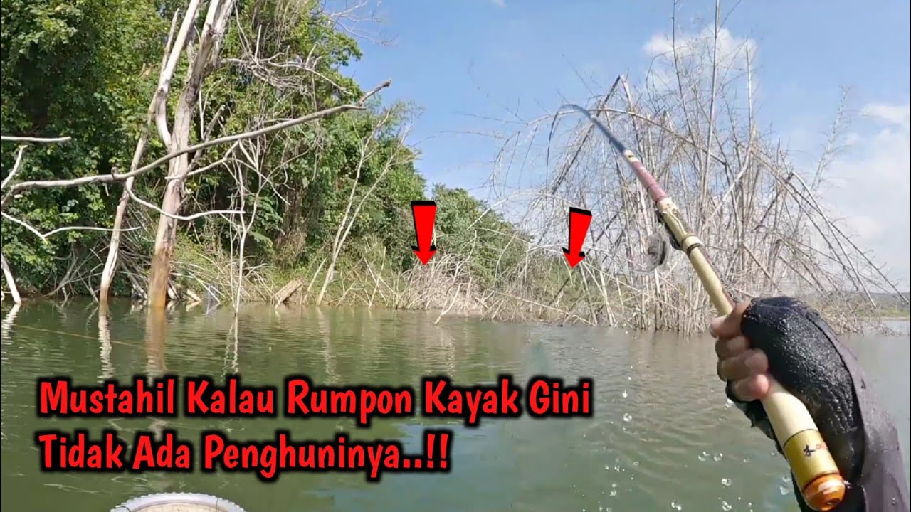 JUTAAN PEMANCING TIDAK SADAR‼️RUMPON SEPERTI INI JADI RUMAH IKAN‼️MANCING IKAN NILA - MANCING MANIA
