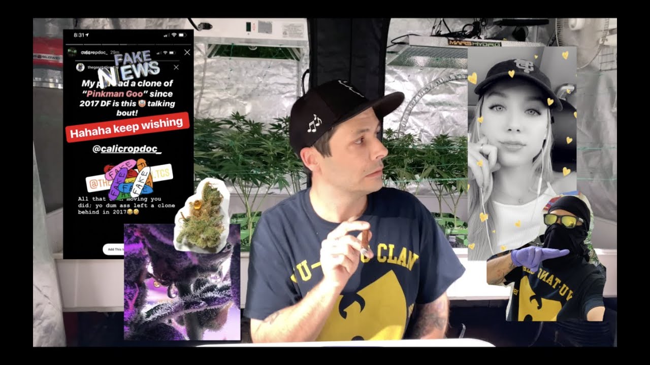 Quarantine Update, Cannabis Mukbang (PuffBang) Pinkman Goo Rumors RxCannaCare CBD- Cali Crop Talk #1
