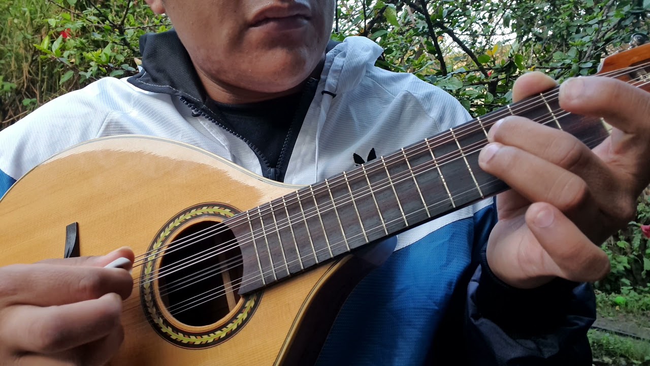 Curso Intensivo Mandolina Sesión 10/50 Prof Fernando Ortiz Pichardo. Aprende A Tocar 100%Garantizado