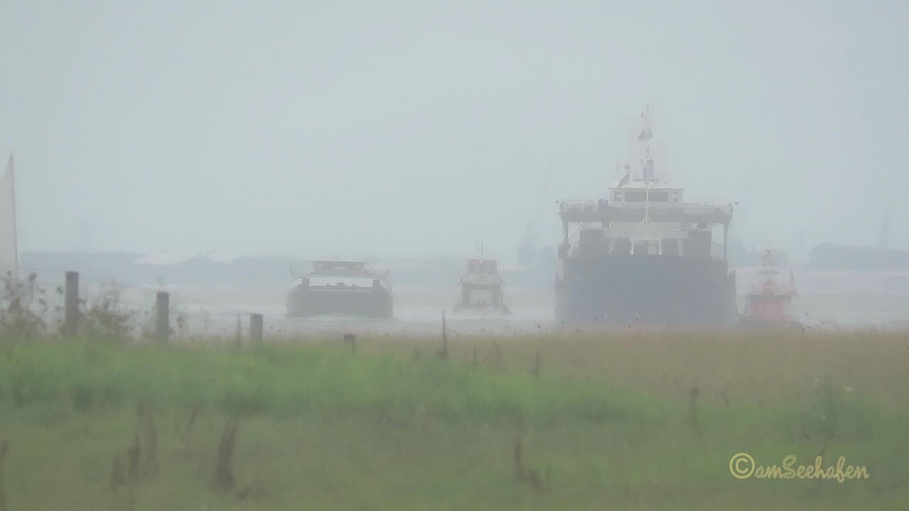 Emden Borssum Blick vom Seedeich Emsrevier Dollart