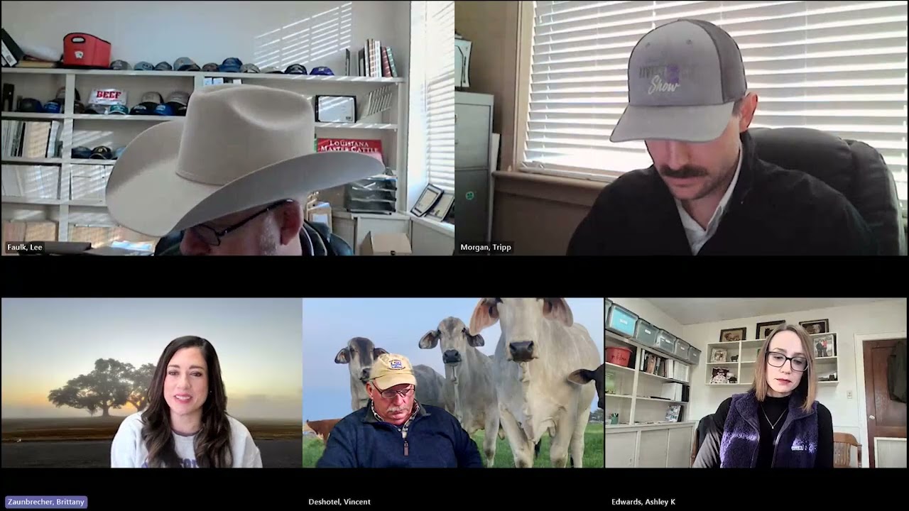 Beef Brunch News Update – January 20, 2026