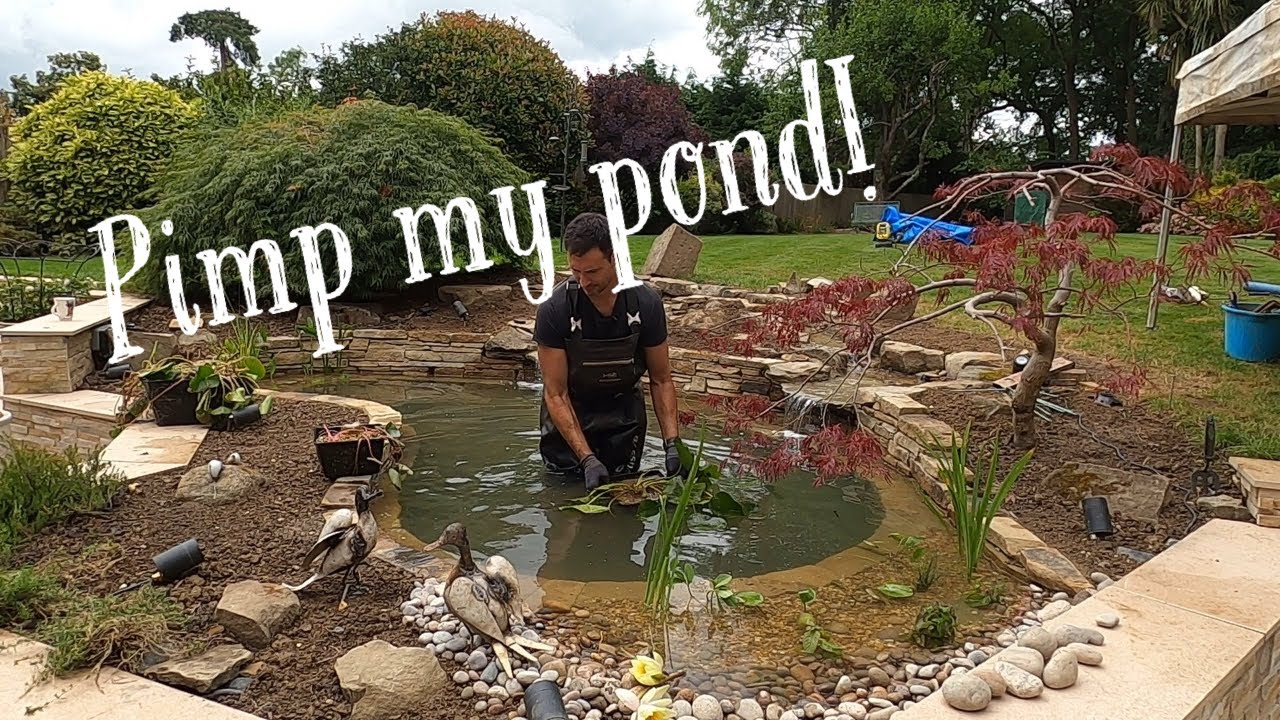 Pimp my pond! Pond re-design & construction part #3: Completion!