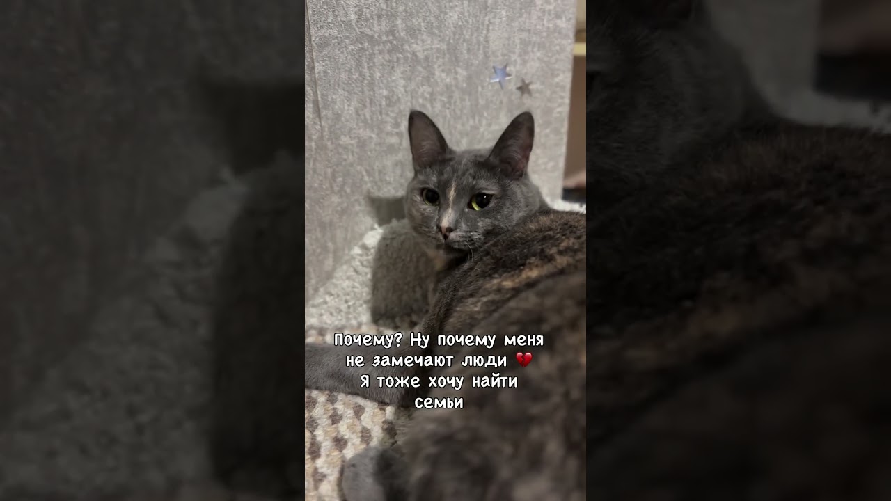 Доставка в другие города г.Саранск  +79271880201 телеграмм/вотсап, Тгк: Nstershova - подпишись 🙏🏻