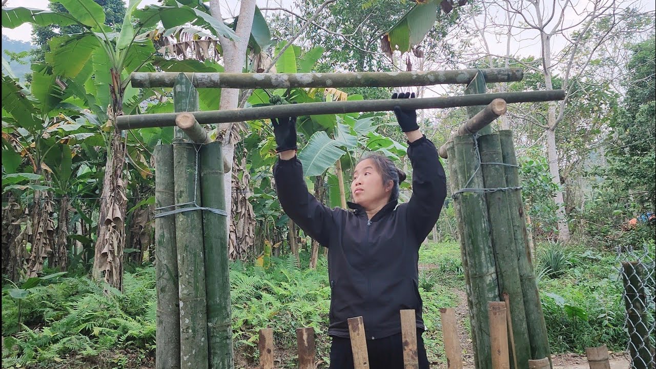 Single Mother - Building a Bamboo Gate for Family Safety | Ly tieu tieu