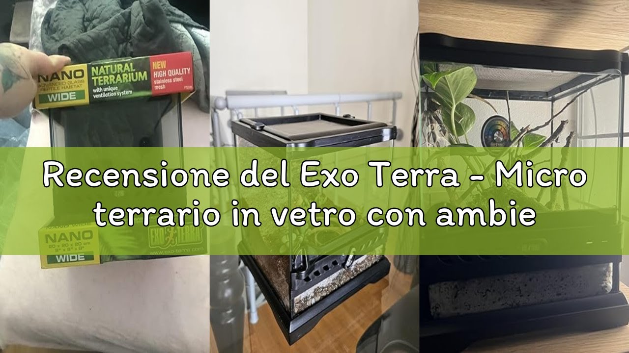 Recensione del Exo Terra - Micro terrario in vetro con ambientazione per rettili, dimensioni 20 x 20