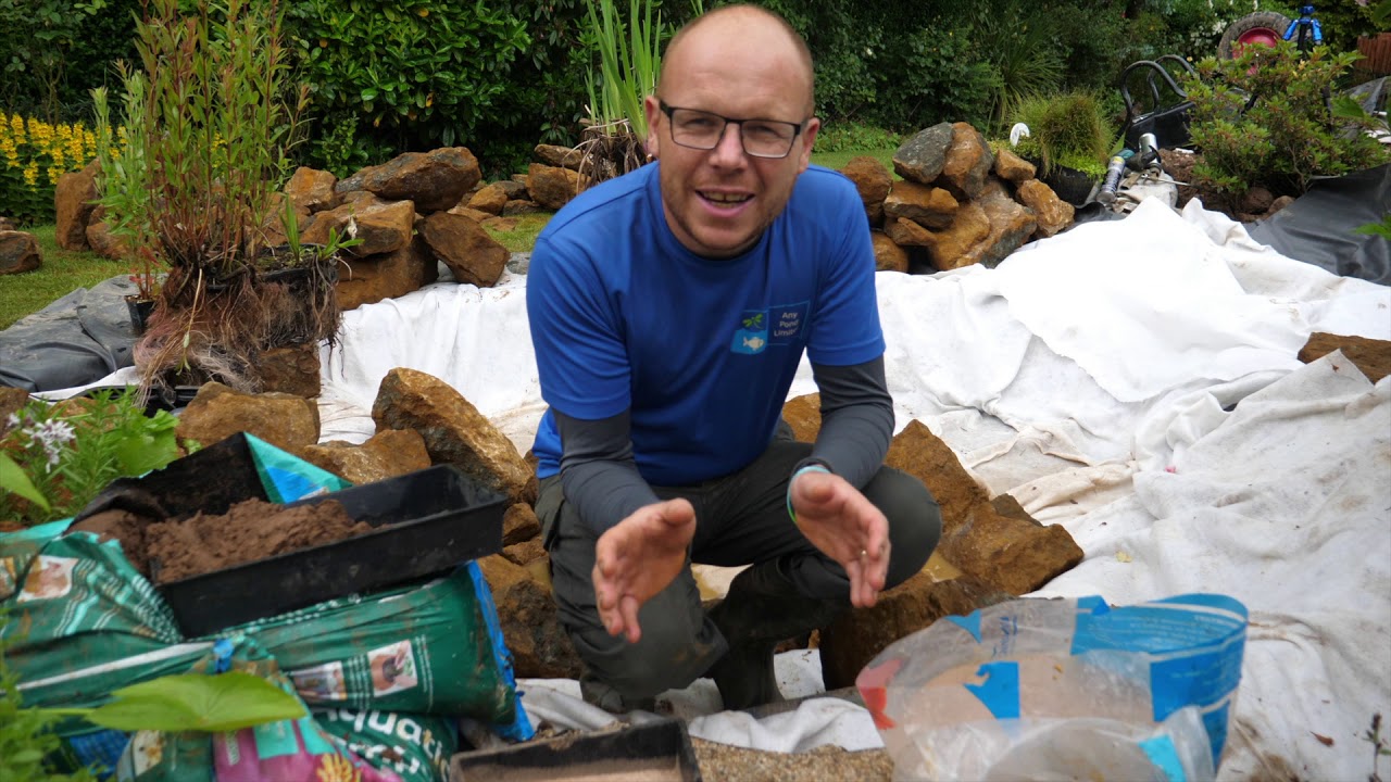 Pond Plants UK: A Beginner's Guide to Growing Pond Plants at Home