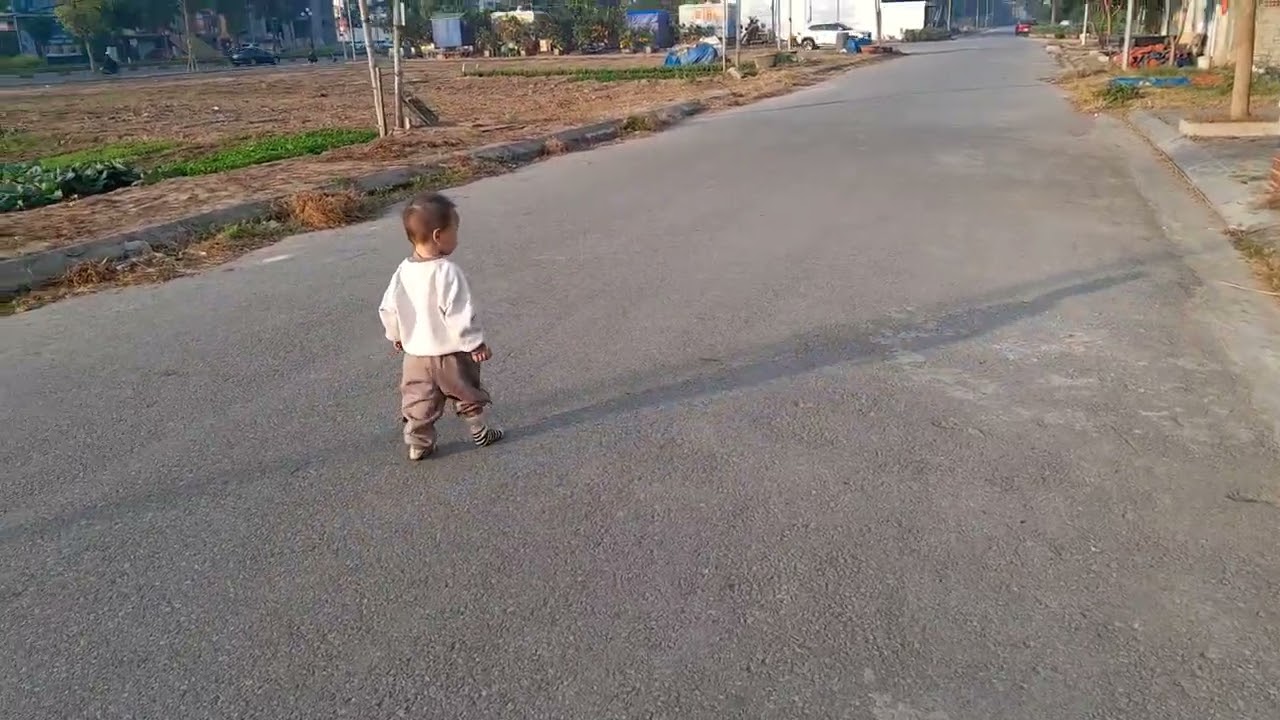 Dạo