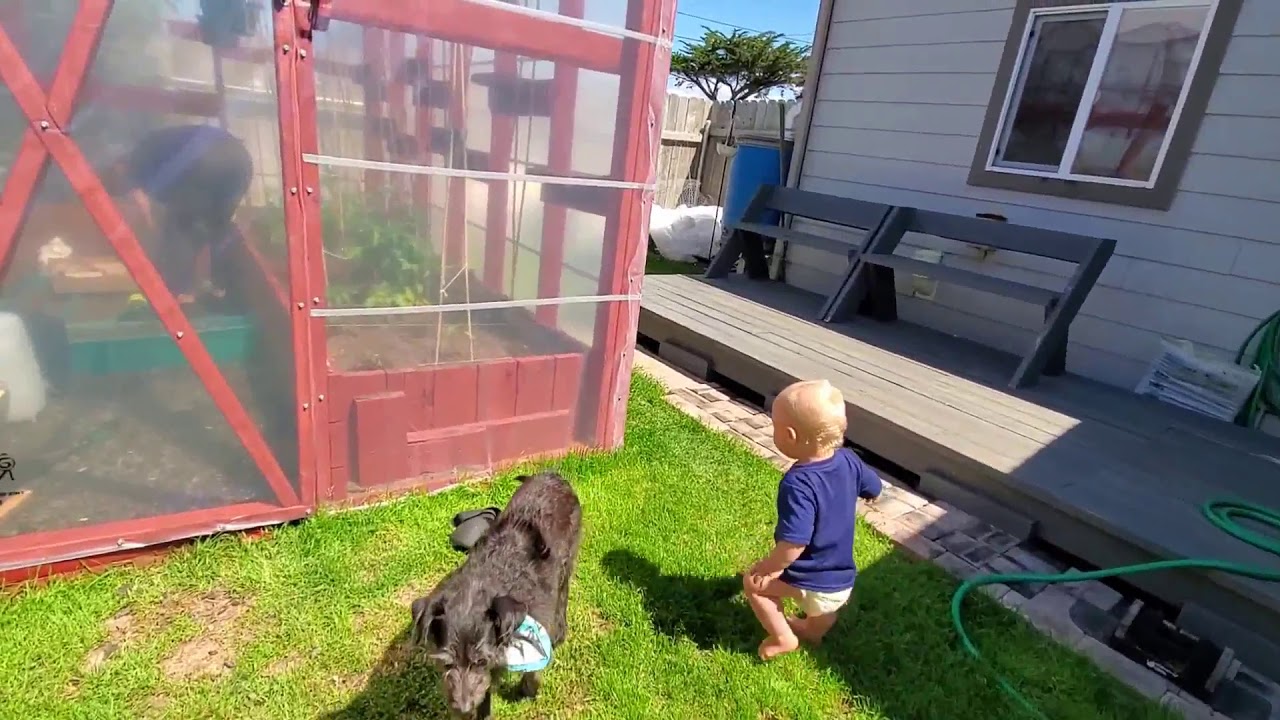 Backyard playtime (edited)
