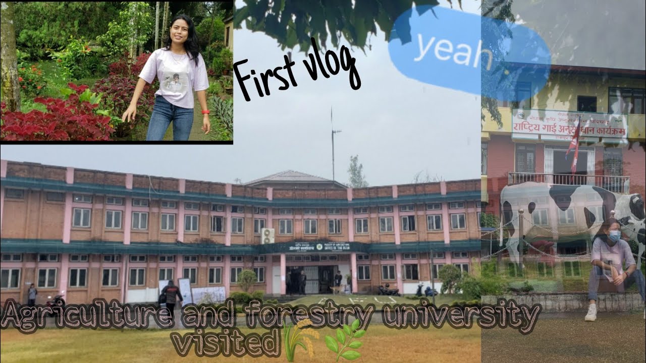 Finally visited University(AFU)after lockdown||so excited🤷||Vlog-1