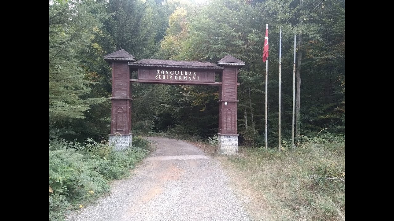 Yasaklar kalktı, kent ormanında Muhteşem bir kamp yaptık