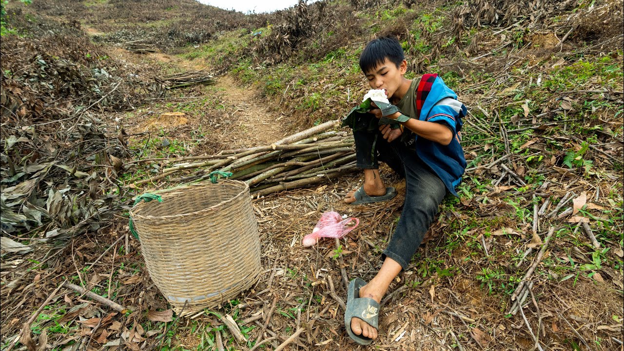 Orphan Boy Builds a Bamboo Shed at Home to Store Collected Firewood