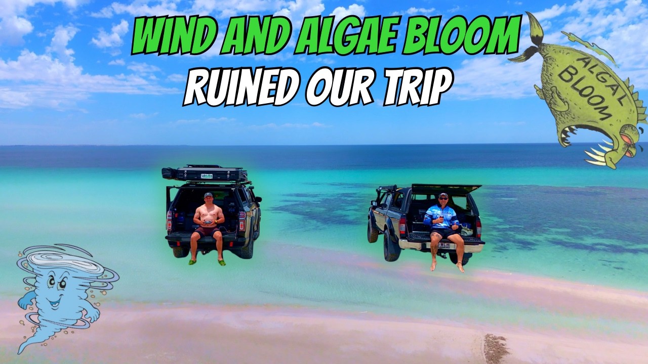 Camping Disaster: Wind and Algae Bloom Ruined Our Trip to the Yorke Peninsula