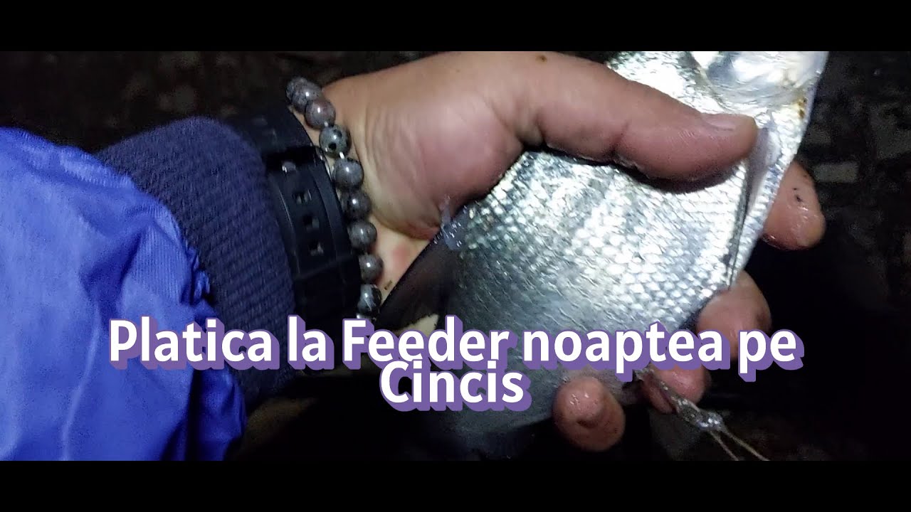 Pescuit relaxant la Platica noaptea pe Lacul Cincis !