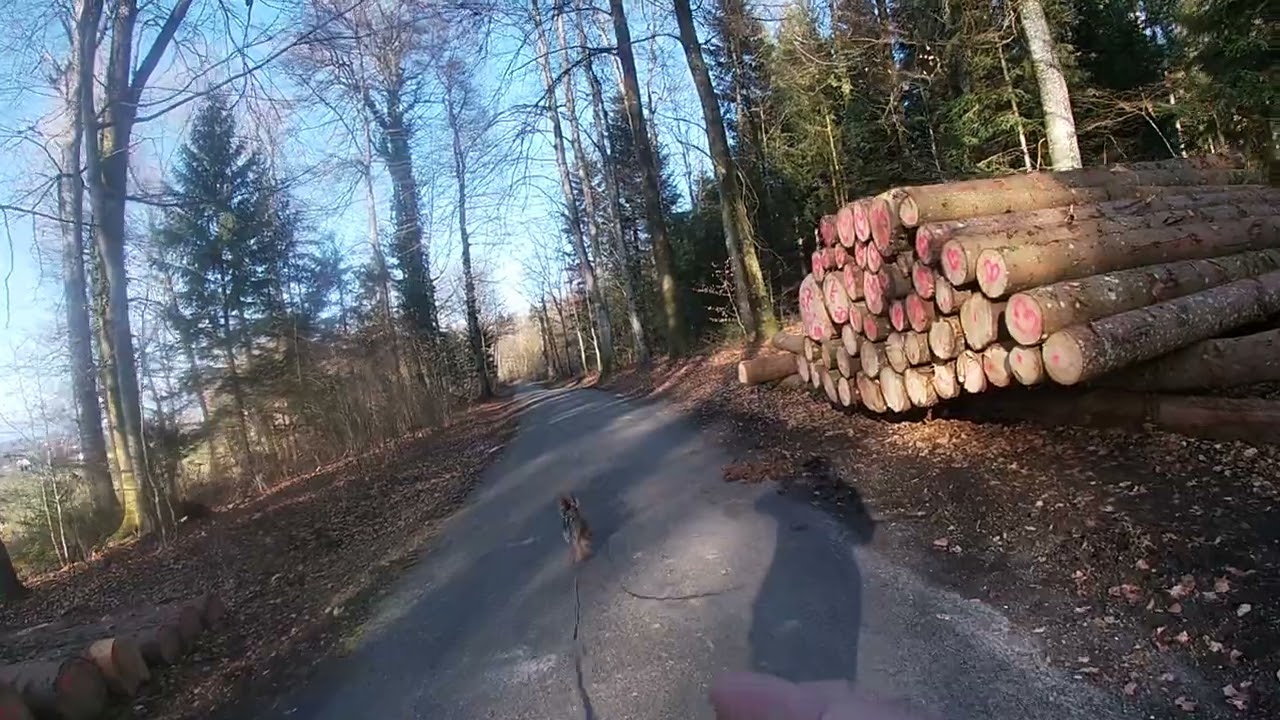 Babou balade 20260303-153000