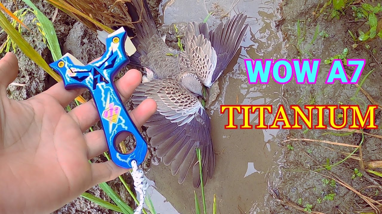 Siêu phẩm ná titanium 1.600.000 đi săn || Đảm Nguyễn