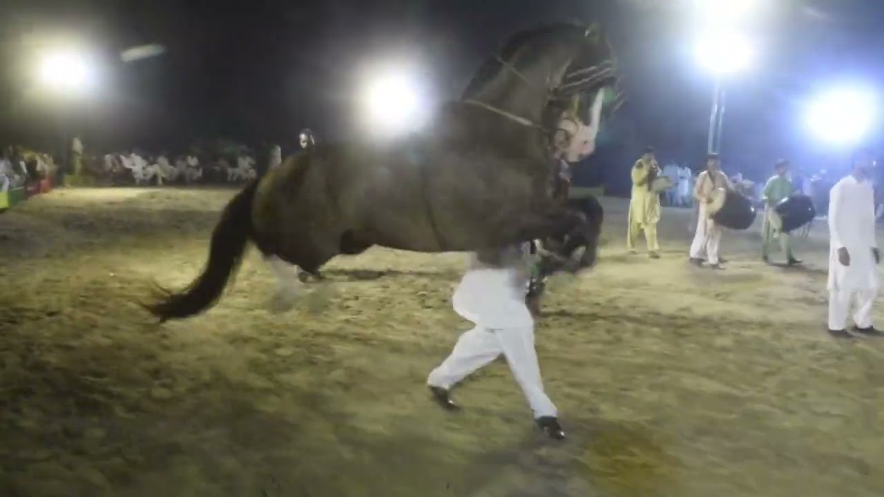 All Pakistan Horse Dance Pakistan Selected Horse Ghora Dua e Ali Asghar