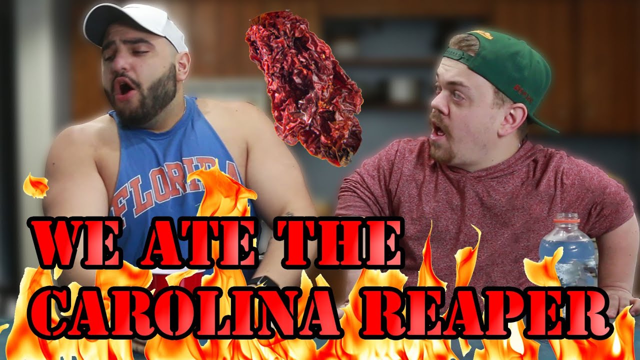 Dried Carolina Reaper Challenge! (Can you guess who pukes?)