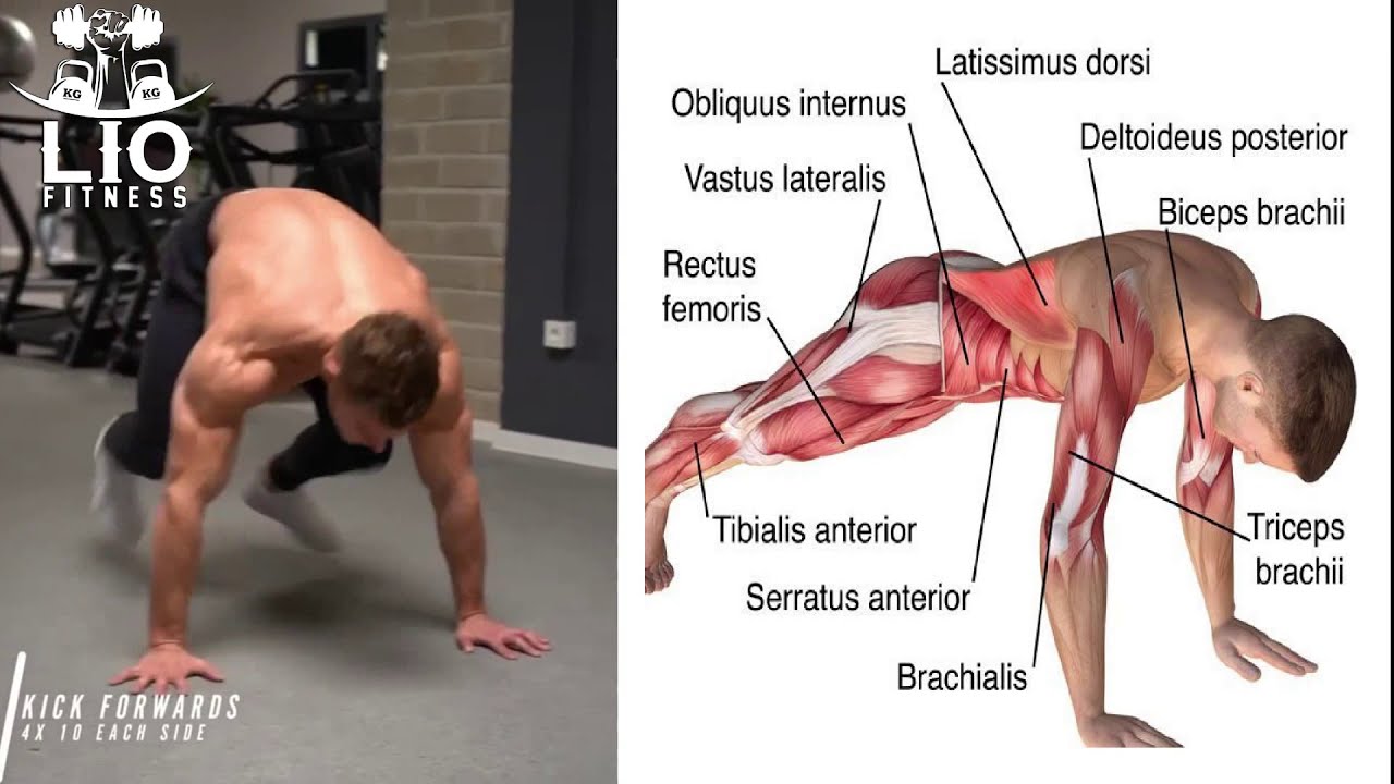 12 EJERCICIOS PARA ABDOMEN EN CASA