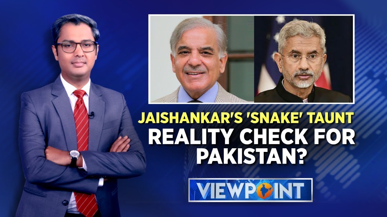 Jaishankar's 'Snake' Taunt | Reality Check For Pakistan? | Foreign Minister S Jaishankar At UNSC