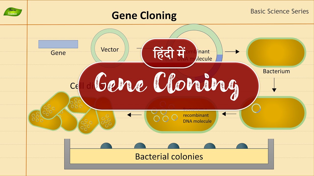 Gene Cloning in Hindi | Introduction | Basic Science Series Hindi