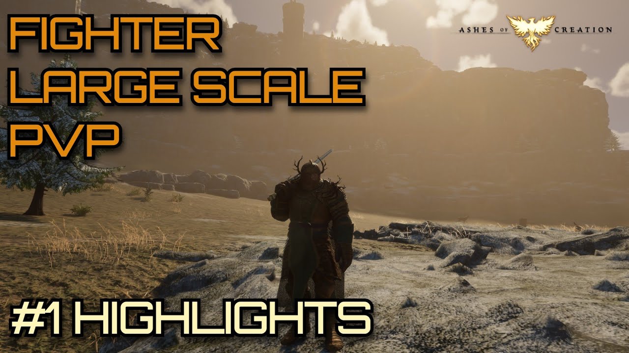 Fighter Large Scale PvP Highlights #1