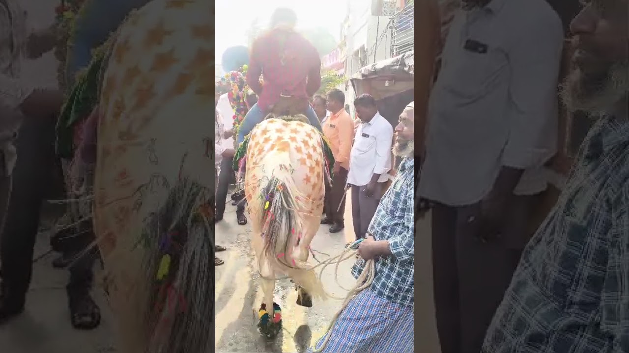 Sattenapalli Ramulamma aata Gurram 
