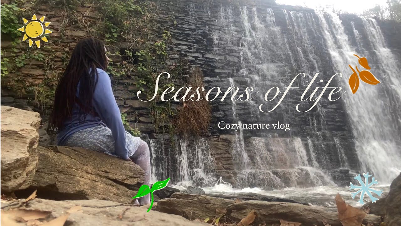 Encouragement for you ☀️| Nature film and reflections