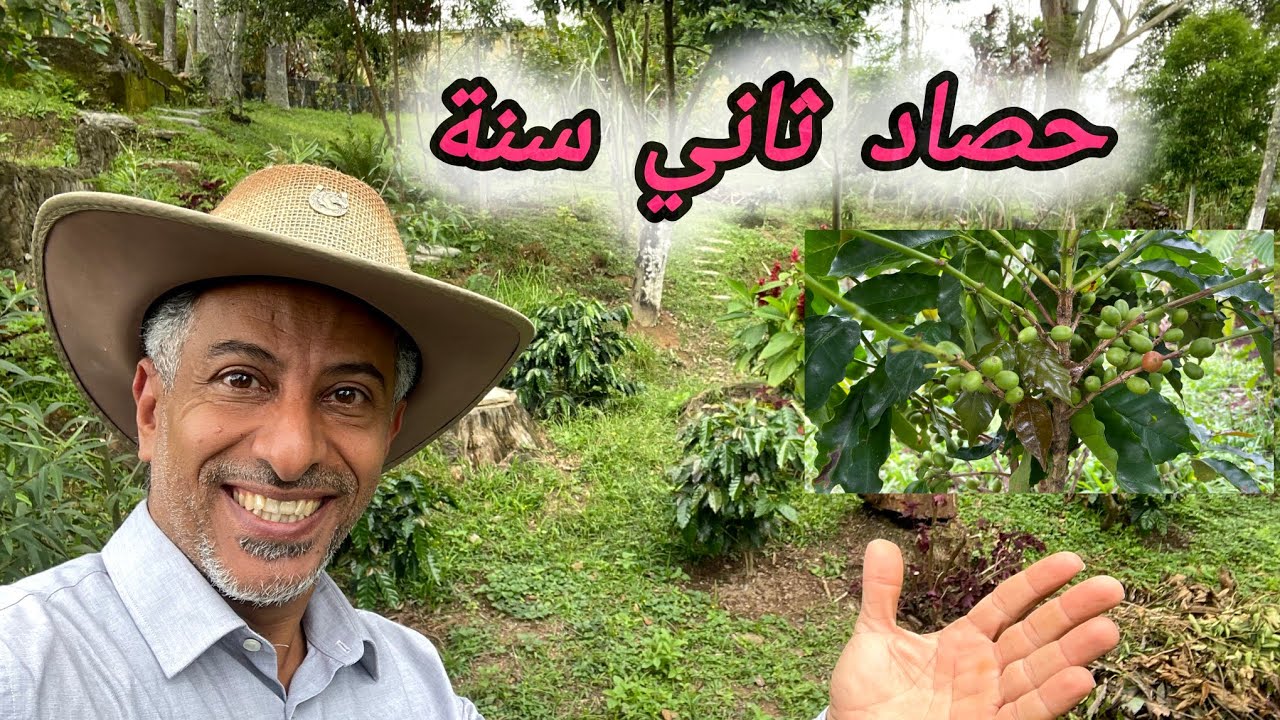 طريقة عمل الإيماس و الفرق بين التسميد بالرش و التسميد بالري