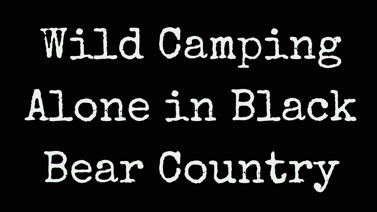 Camping Alone in Black Bear Country