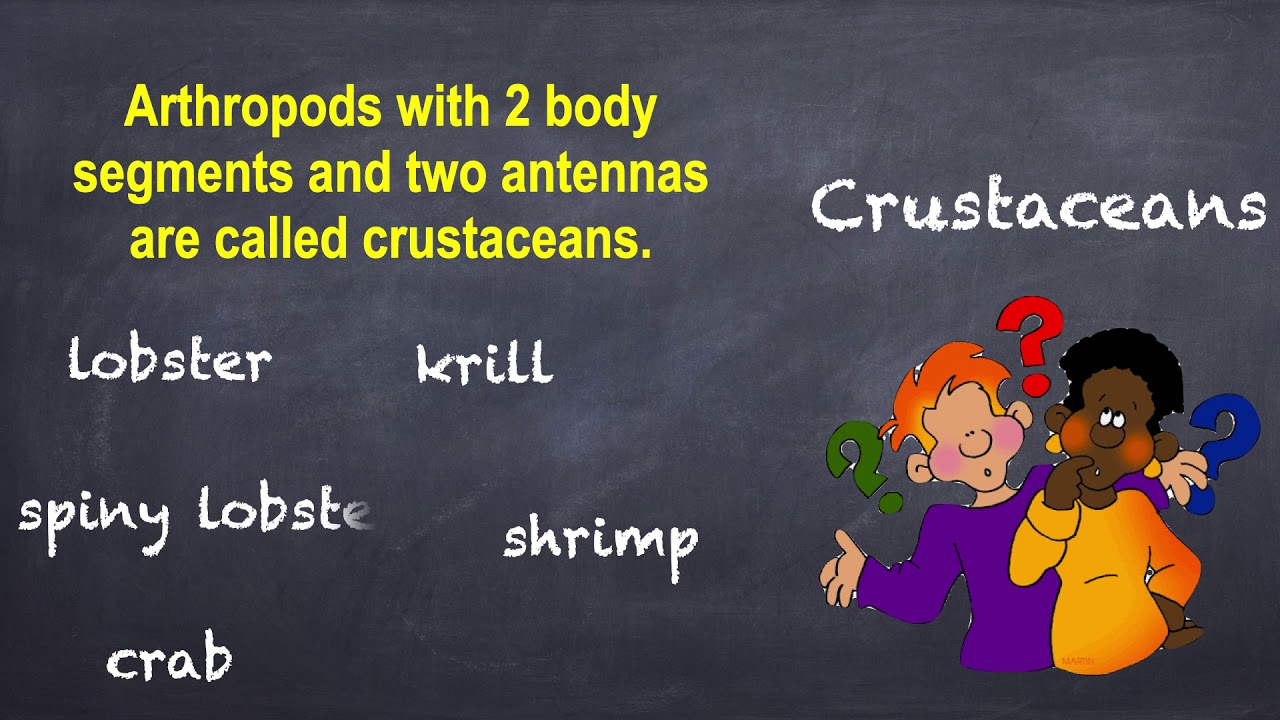 Crustaceans