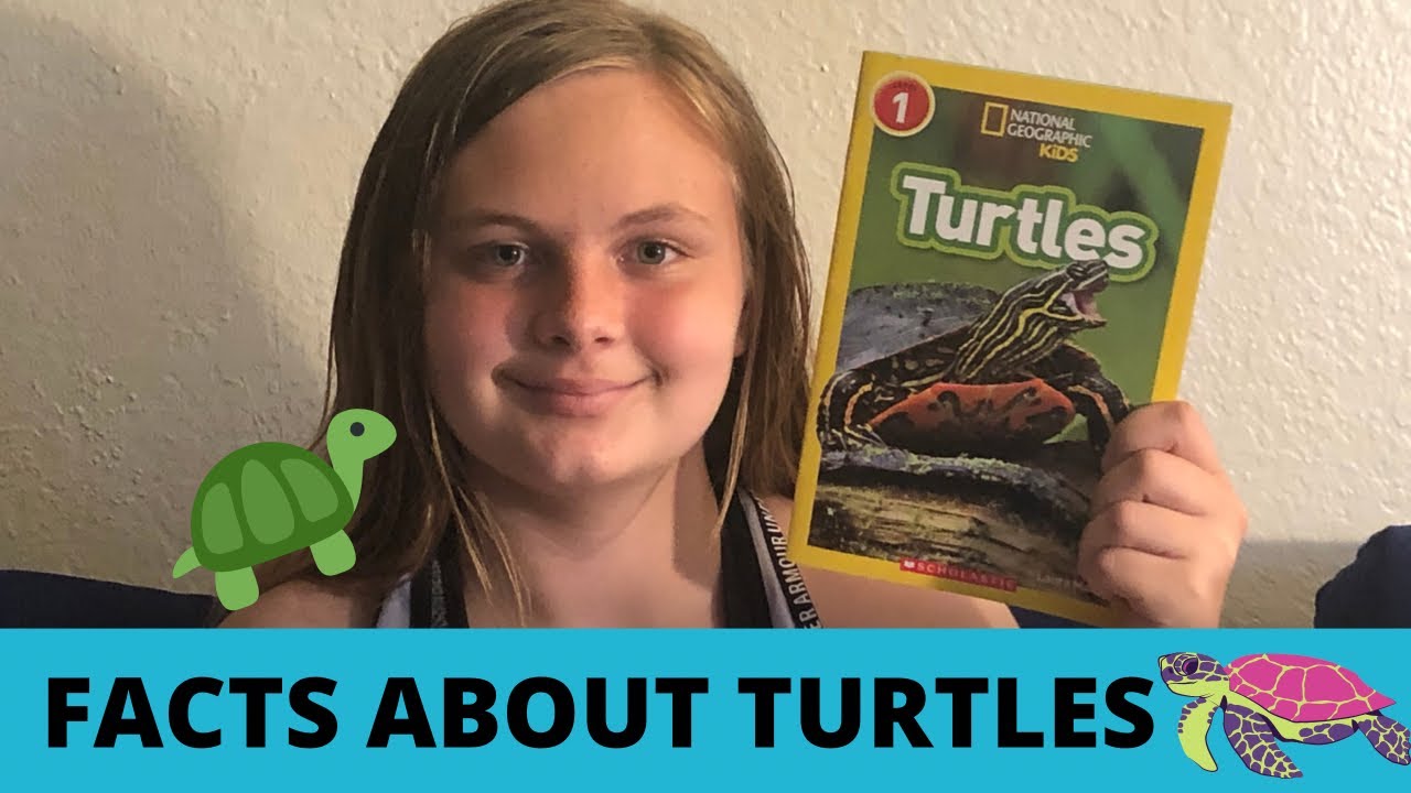 Fun Facts About Turtles National Geographic Kids Book