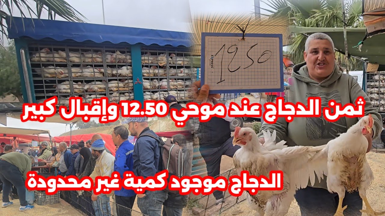 تخفيضات هامة عند موحي اليوم في الدجاج في سوق أزغنغان 12.50 درهم وإقبال كبير من المواطنين