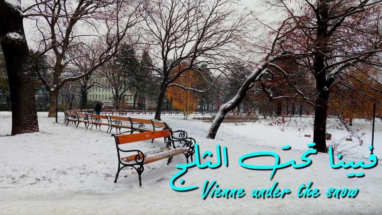 فيينا تحت الثلج | VIENNE UNDER THE SNOW