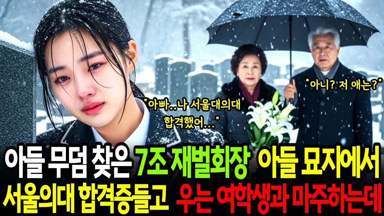 아들 기일에 무덤 찾은 자산 7조 재벌회장부부, “아빠… 나 서울대 의대 수석 합격했어” 입학증들고 슬프게 우는 여학생과 마주치는데…|오디오북|감동사연|사연라디오|눈물사연|