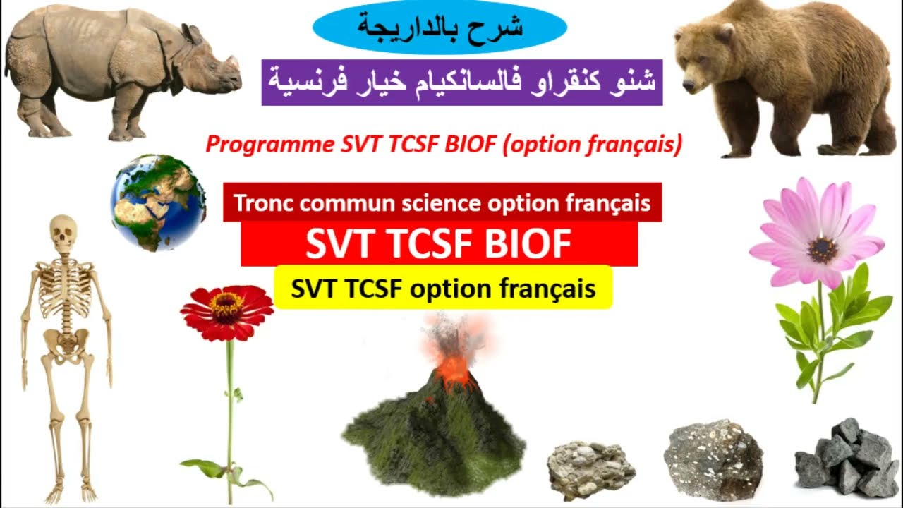 Programme svt tcsf  biof option francais (برنامج مادة علوم الحياة والأرض سانكيام خيار فرنسية)