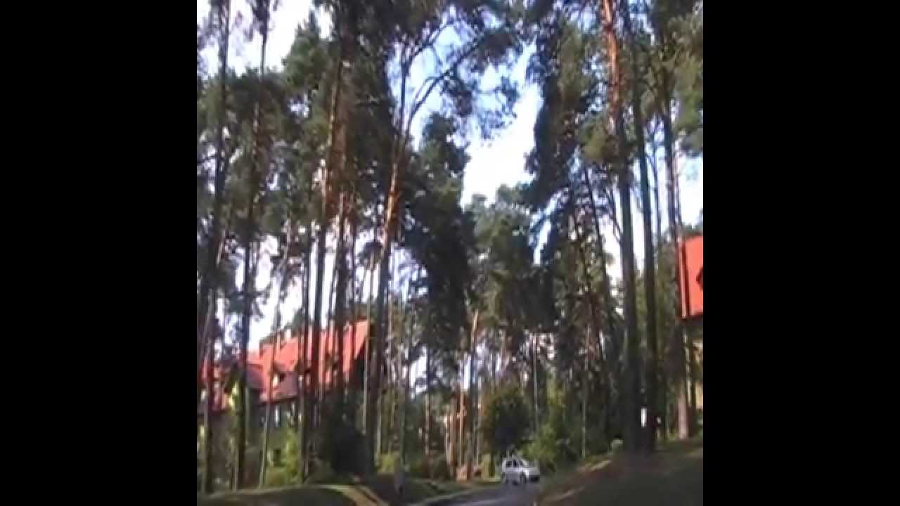 cib&oacute;rz