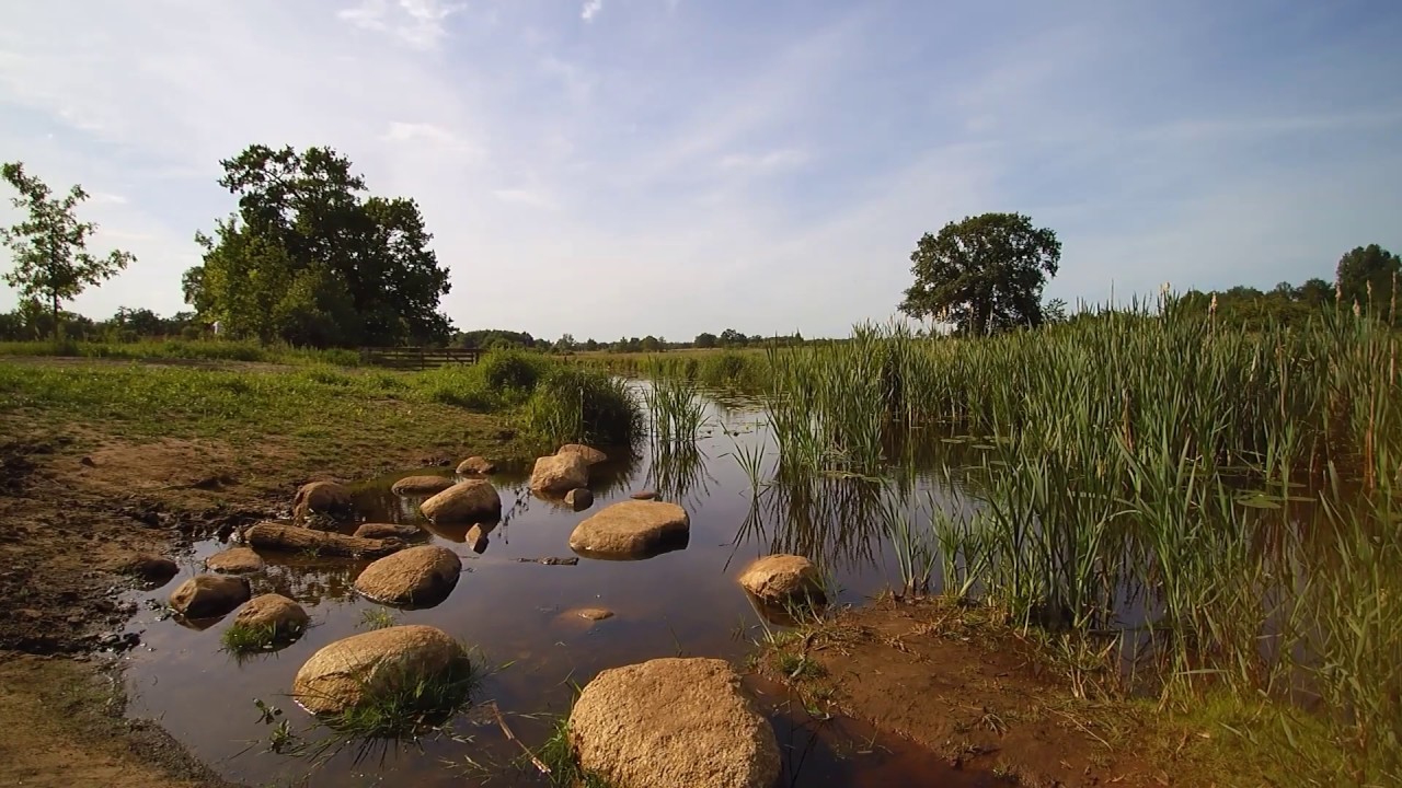 Dal van de Ruiten Aa (2), omgeving Vlagtwedde, provincie Groningen, begin Juni 2020
