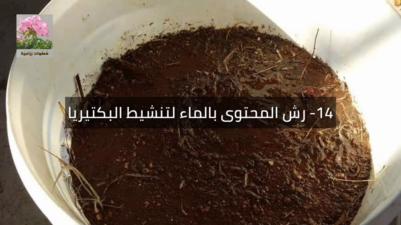 عمل كمبوست عالي الجودة من بقايا المطبخ - Make high-quality compost from kitchen remnants