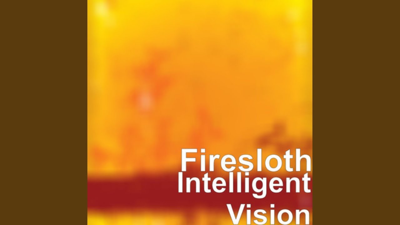 Intelligent Vision