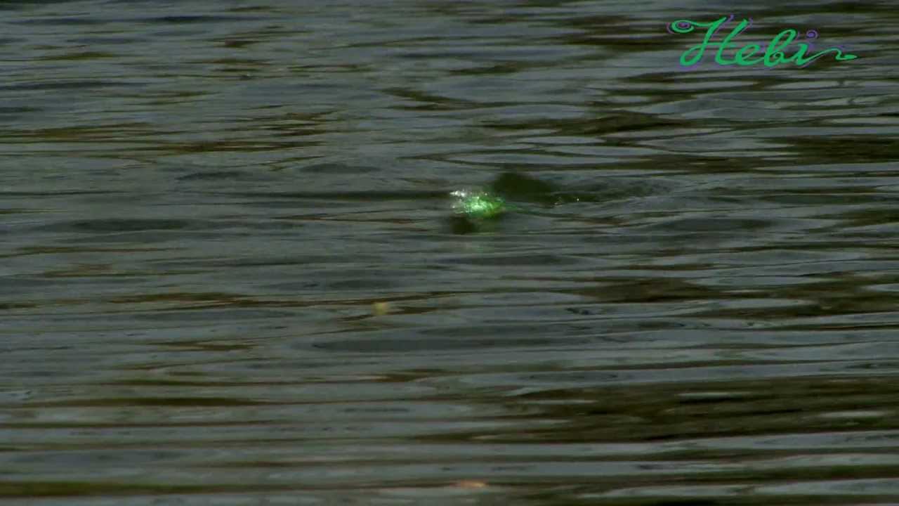 Tsunami Lures -Hebi-