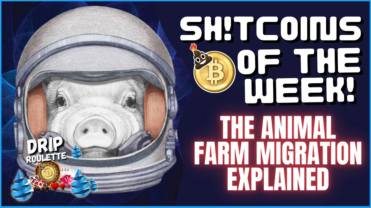 SH!TCOINS OF THE WEEK : DRIP GARDEN IS THE KEY 🔑🪴