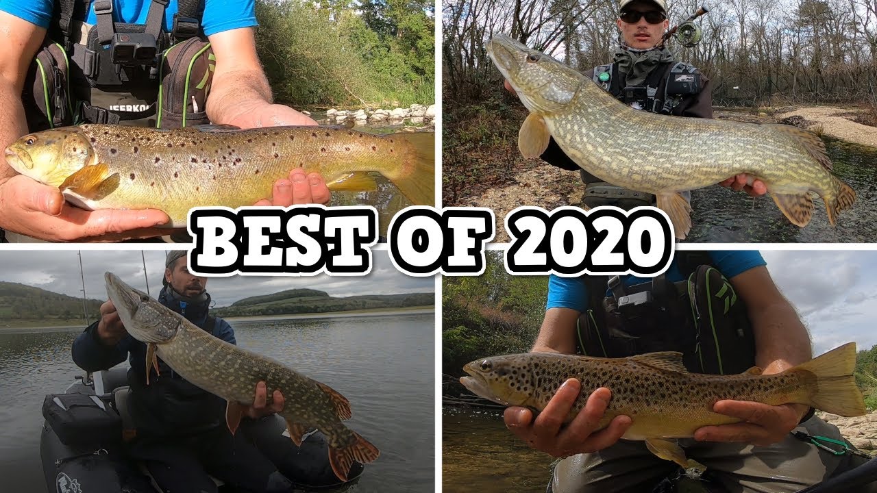 BEST OF fishing 2020/ Meilleurs moments de pêche 2020 / Telle Mere Tel Fish / TMTF