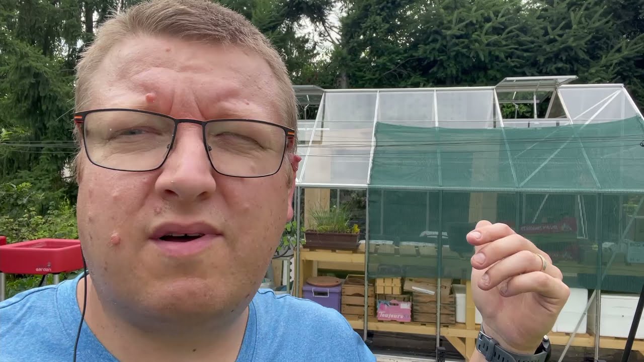 Vlog Aquaponie démarrage du cyclage.  - Mr Recif Captif #331