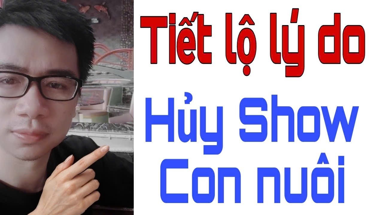 TIẾT LỘ LÝ DO SHOW CON NUÔI bị PHƯƠNG HỒNG THỦY hủy | Khẳng định KHÔNG MÂU THUẪN. Triển Ca Vlog
