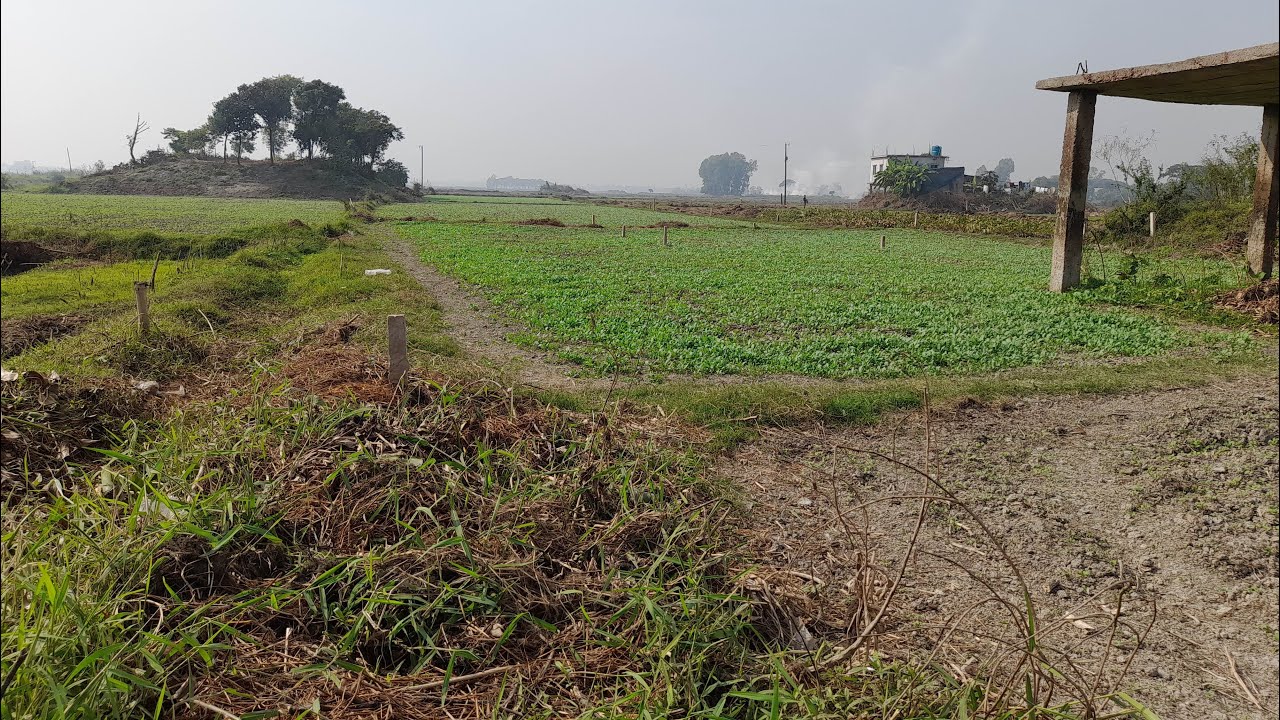 কম দামে জমি বিক্রয় হবে কেরানীগঞ্জ এলাকায় #riponvlog ০১৯৮০৫১৪১৬৬