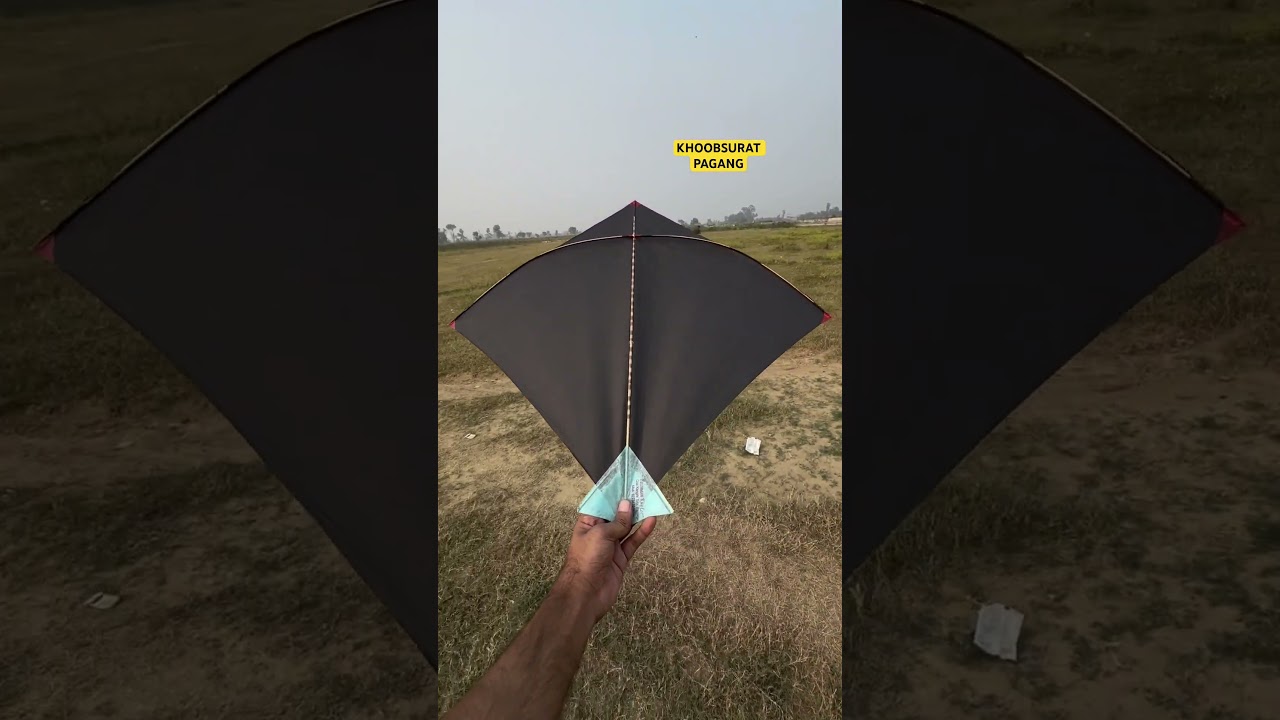 beautiful kite | #kiteflying #kitelover #kitefighting #kite #viralvideo #shortsvideo